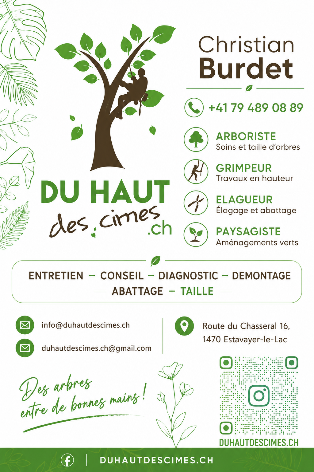 DU HAUT DES CIMES